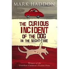 Curious incident of the dog in the night time